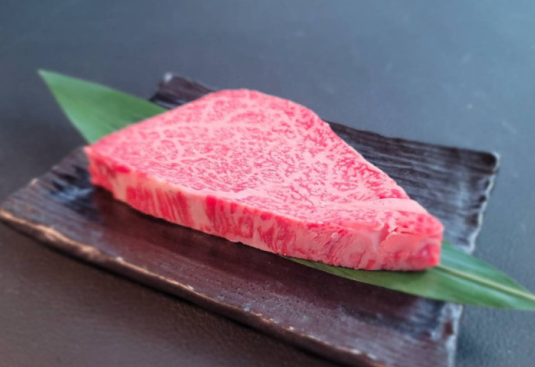 シャトーブリアン